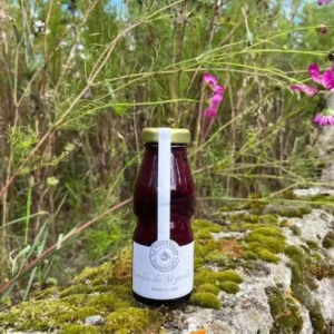 Coulis de myrtilles artisanal fabriqué en Creuse par les Myrtilles du Trimoulet, producteur local de Boussac-Bourg