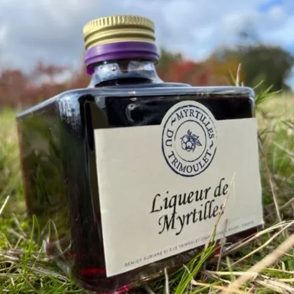 Liqueur artisanale de myrtilles de Creuse – Bouteille carrée de 200 ml, posée dans un cadre naturel, mettant en valeur sa couleur violette intense.