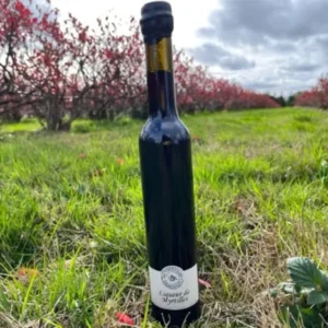 Liqueur artisanale de myrtilles de Creuse – Bouteille de 375 ml dressée dans un verger en Creuse, soulignant le produit artisanal et local.
