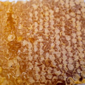 Gros plan du Miel en Rayon du Rucher Saint-Antoine, montrant la texture naturelle et dorée de la cire imbibée de miel, récolté en Corrèze.