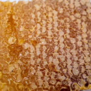 Gros plan du Miel en Rayon du Rucher Saint-Antoine, montrant la texture naturelle et dorée de la cire imbibée de miel, récolté en Corrèze.