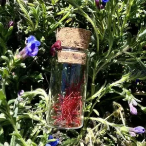 Fiole en verre de pur safran bio en stigmates 0,1 g cultivé en Corrèze, épice artisanale française, flacon scellé avec bouchon en liège et cire.