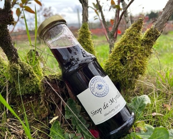 Sirop de Myrtilles